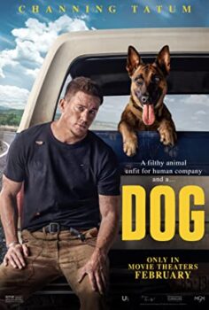 Köpek – Dog