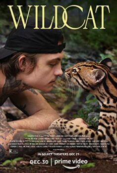 Yaban Kedisi – Wildcat